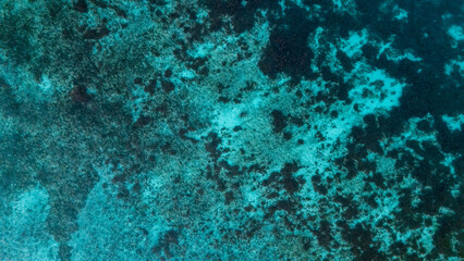 Surreal and hypnotic top view shot of colorful Coral Reefs in Shallow Waters in Pamilacan Island,...