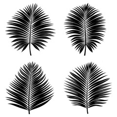 Obraz premium Illustration of four black palm fronds with varying shapes isolated on a white background in vector format