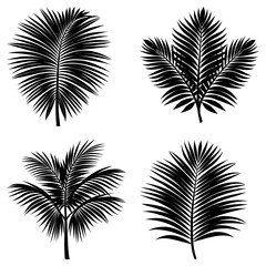 Illustration of four different black palm leaves isolated on a white background in a vector format design