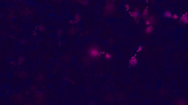 Organische violette Gewebestrukturen Nervenbahnen und K&ouml;rperzellen - Infektion, Immunsystem, Medizin, Wissenschaft, Viren & Bakterien in mikroskopischen Detailaufnahmen f&uuml;r Forschung & Biotechnologie
