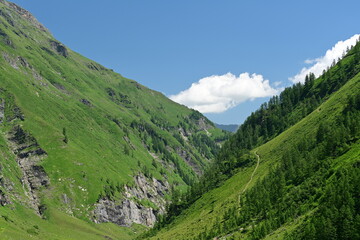 Obraz premium Gebirgslandschaft mit steilen grasbewachsenen Berghängen im Sommer