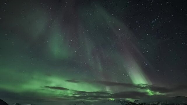 Fully-sky auroras above a Norwegian fjord and snowy mountains, tilt down