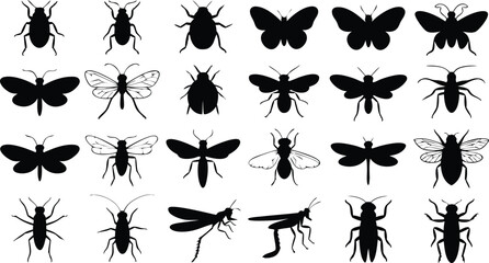 Variety of Insect Silhouettes Beetles, Butterflies, Moths, Dragonflies and Other Bugs on White