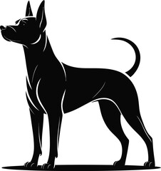 Sleek black dog standing alert silhouette canine