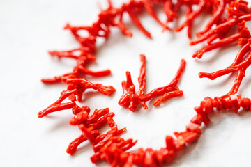 Natural Red Coral Branches Close-up on White Background

