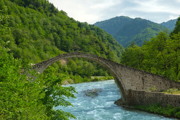 Stone arch bridge over river. Picturesque view of a historic stone arch bridge spanning a flowing river. Surrounded by lush greenery and majestic mountains in the background.