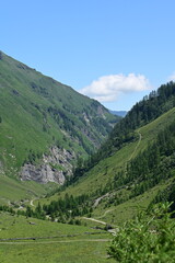 Fototapeta premium Gebirgslandschaft mit steilen grasbewachsenen Berghängen im Sommer
