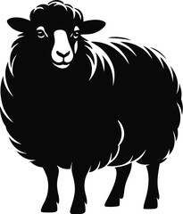 Black sheep standing animal livestock