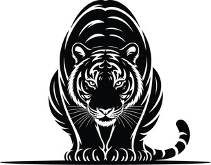 Fierce black tiger crouching white animal