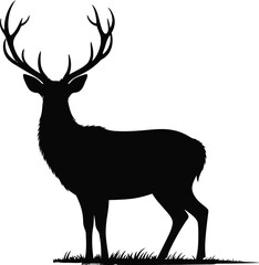 Majestic stag standing on grass deer silhouette