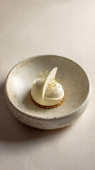 Minimalistic Dessert on a Speckled Plate