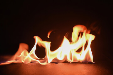 Fire flames on a black background