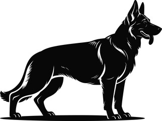 German Shepherd standing alert silhouette black and white