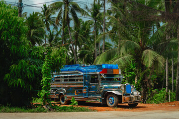 Jeepney jeep filipino colorful bus vehicle truck along tropical road with palm trees and sunny sky in Palawan, Philippines. © Danilo