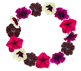 Round floral wreath made of petunia flowers in red, white, and burgundy. Isolated botanical circle...