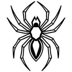 Spider line art vector illustration on white background