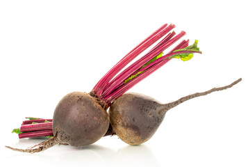 Red fresh beetroot isolated on white background, macro.