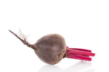 Red fresh beetroot isolated on white background, macro.