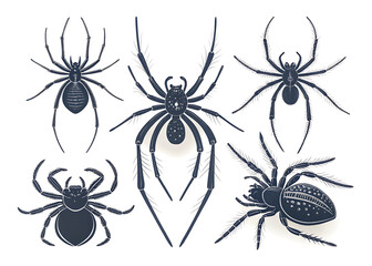 Set of Spider silhouette Spider vector icon on white background.

