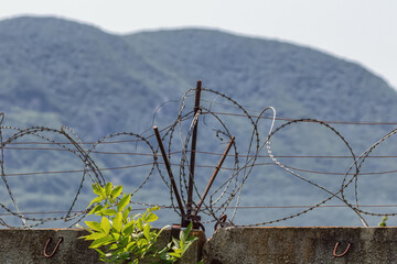 Barbed wire on an old concrete fence blocks the path of intruders.