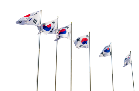 Waving flag of South Korea in transparent background. South Korea flag for independence day. The symbol of the state on wavy fabric.