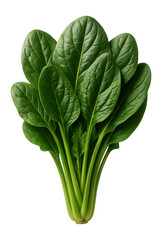 Tarragon sprigs floating in a jar of pickled vegetables for added aroma