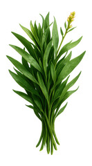 Fototapeta premium A blueberry muffin with a cracked golden-brown top, revealing juicy berries peeking through the surface.