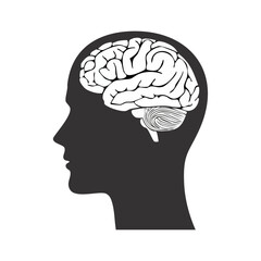 human head with brain