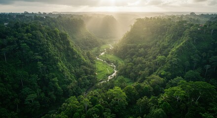 Green valley sunlight panorama