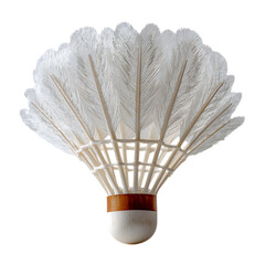  shuttlecock png