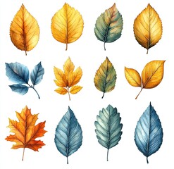 Obraz premium Watercolor Painting of Assorted Autumn Leaves, Colorful Foliage Arrangement on White Background
