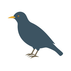 Obraz premium Simple Blue Bird Illustration Flat Design Nature Graphic