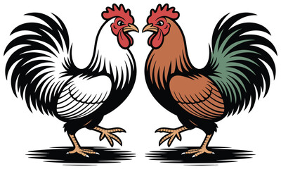 cock and rooster