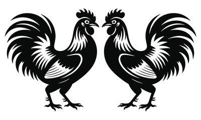 rooster isolated on white background