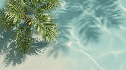 Tropical palm tree casts elegant shadows on a light teal surface.