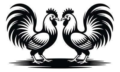 rooster isolated on white