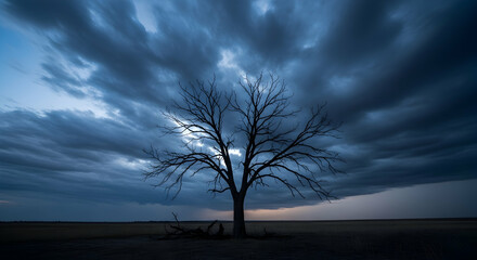 Fototapeta premium Lonely tree stormy sky