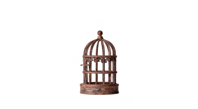 Ornate, dark brown birdcage, isolated on black