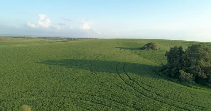Aerial View of green grassland and wheat field. Ruhama Badlands, Israel.