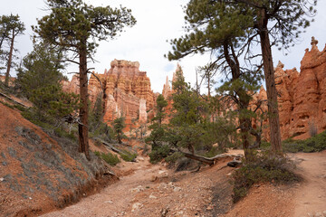 Path in Bryce Canyon National Park, Queens Garden Trail, Utah, USA. View of red and orange sharp...