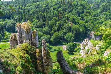 Scenic view of lush forest and rocky outcrops. Ojcow National Park.