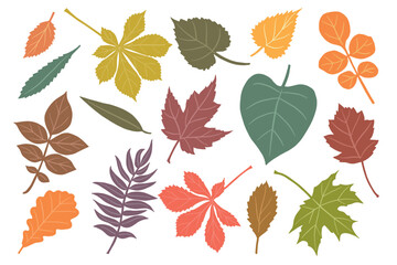 Autumn falling leaves isolated on white background. Vector set illustration with willow, alder, maple, chestnut, oak, lilac and other.