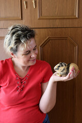 People take care of the guinea pig and play with it.
