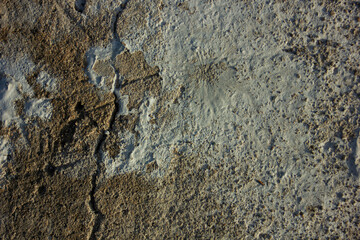 Abstract texture of an old, cracked concrete wall with two contrasting colors. A gritty background for themes of contrast, old and new, or repair