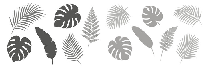 Obraz premium Collection of various tropical leaves in different shapes and sizes arranged artistically on a white background