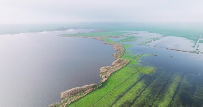 Aerial view of lake Sondeler Leien with fog, Sondel, Friesland, Netherlands