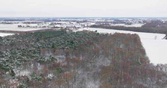 Aerial view of mixed forest with snow, De Witte Bergen, Asten, Netherlands
