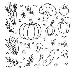 Vegetable set. A collection of hand-drawn garden vegetables and foods rich in vitamins and healthy nutrients.