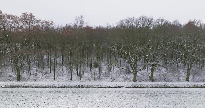 Sidewards flying view of forest with snow, De Witte Bergen, Asten, Netherlands