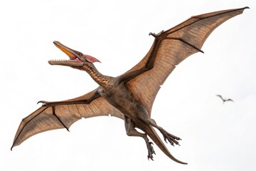 Obraz premium 3d render of a flying bat